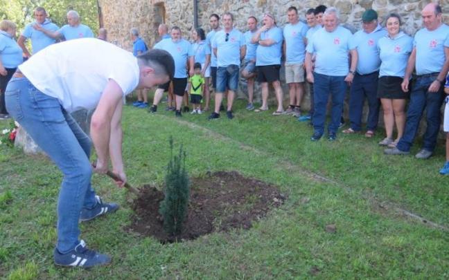 Los socios de Oleta, plantando un tejo.