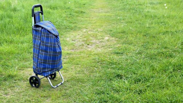Un carrito de la compra en medio de un campo.