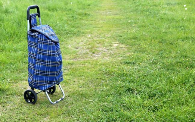Un carrito de la compra en medio de un campo.