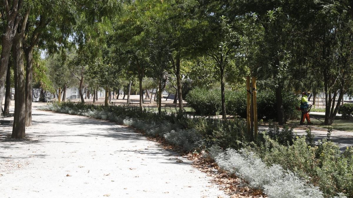 Parque de Las Cruces del barrio madrileño de Carabanchel, donde supuestamente ocurrió la violación
