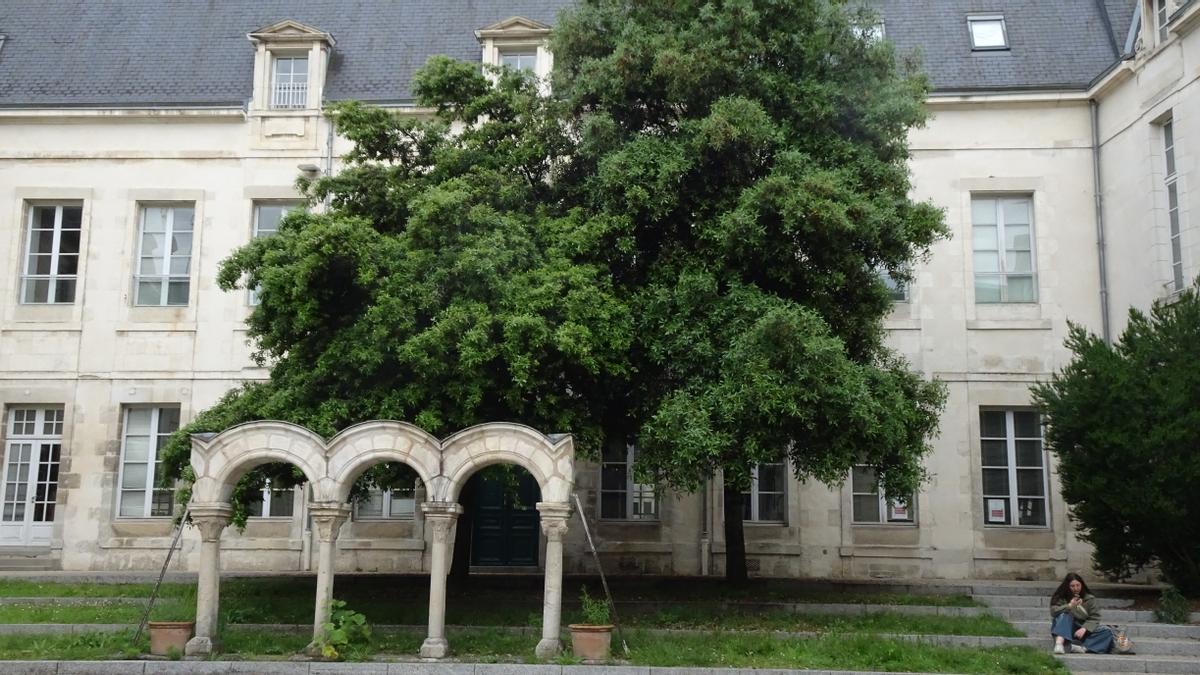 El patio de la facultad de Derecho de la Universidad de Poitiers.