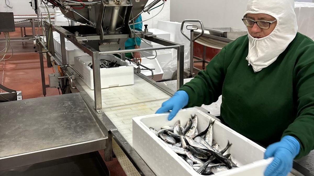 Una trabajadora en la sede de Kofradia Basque Seafood.