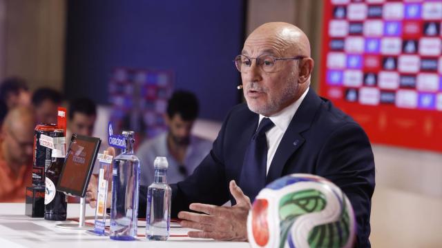 Luis de la Fuente en la rueda de prensa donde ha dado a conocer la lista de convocados.