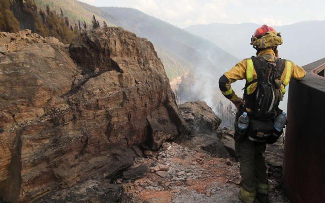 Un brigadista forestal observa el terreno calcinado en A Barca, Sober (Lugo)