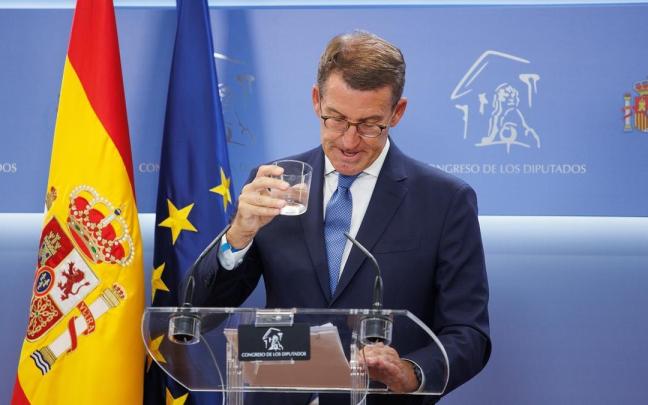 El líder del PP, Alberto Núñez Feijóo.