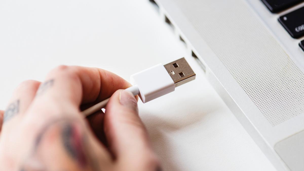 Un conector USB-A con sus característicos agujeros cuadrados.