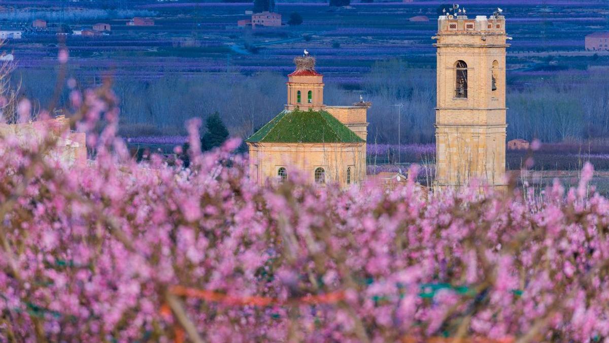 Floración en Aitona (Segriá).