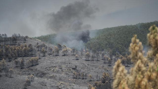 Extensión forestal quemada en La Mierla, Guadalajara