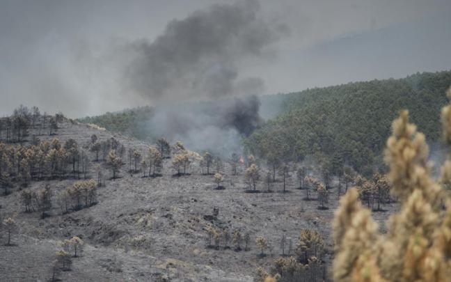 Extensión forestal quemada en La Mierla, Guadalajara