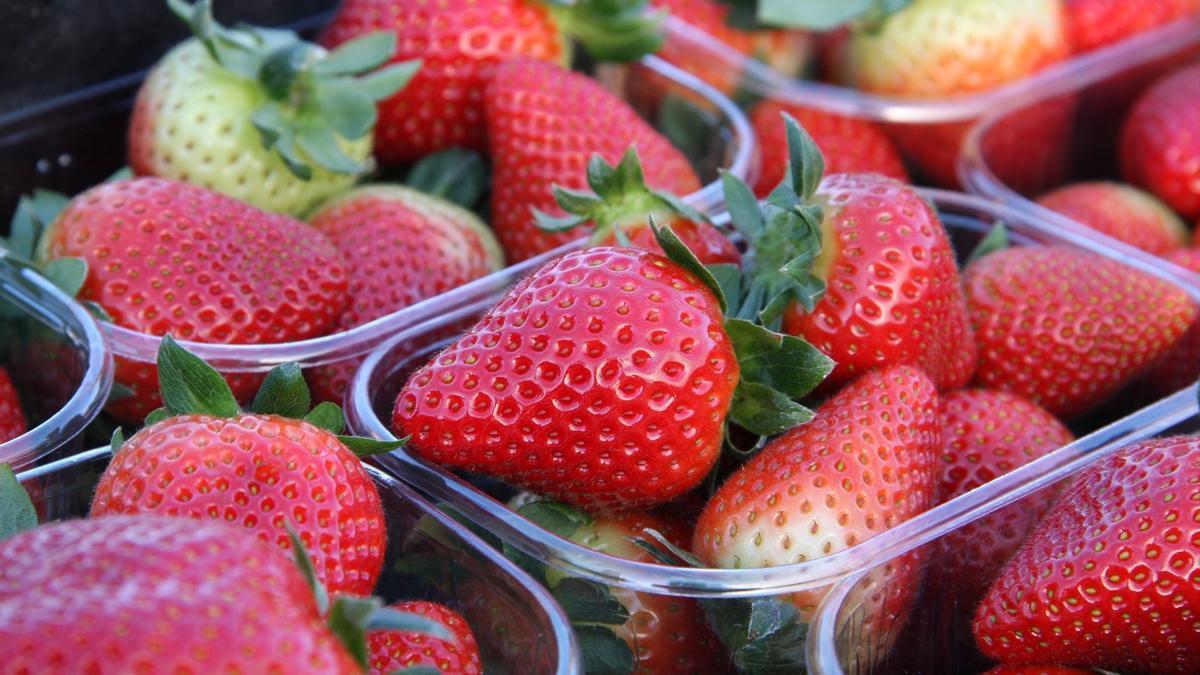 Envases con fresas.