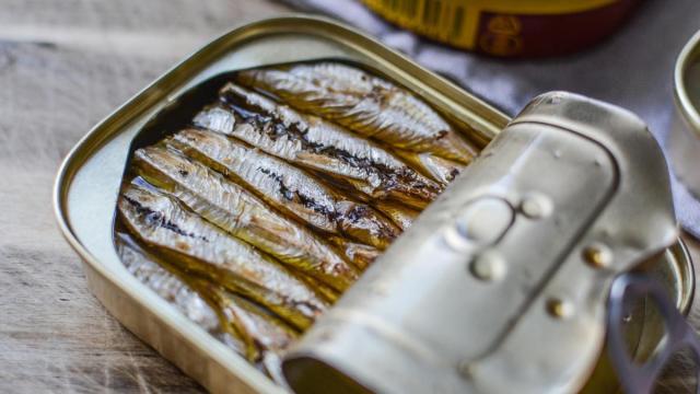 “He comido latas de sardinas de 20 años que estaban exquisitas”, asegura el influencer El Catalatas.