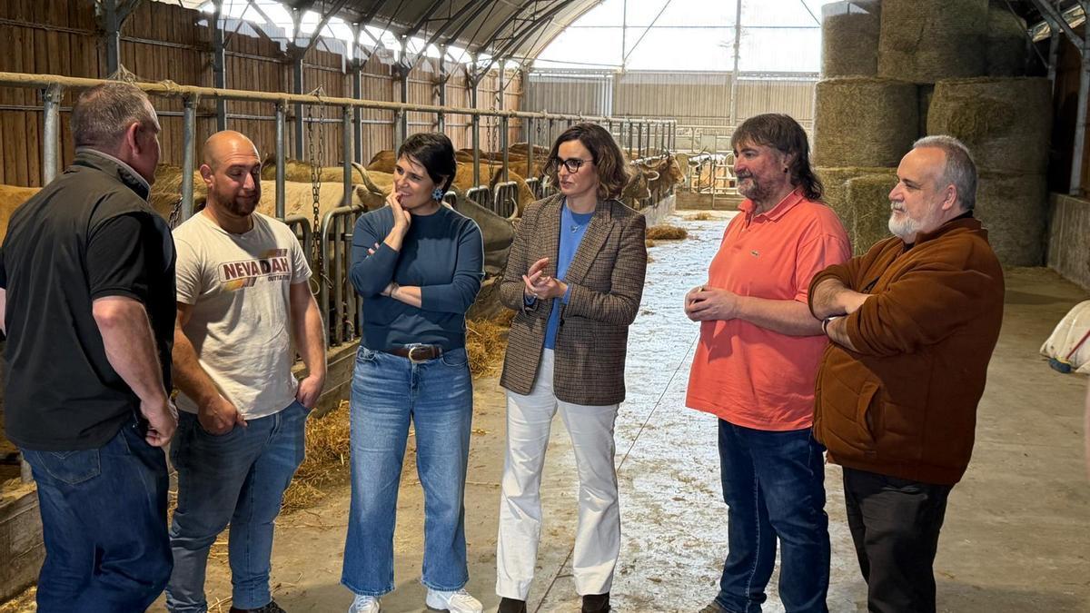 Carlos Ibarrondo, Ibon Lasuen, Arantza Atutxa, Elixabete Etxanobe, Unzalu Salterain y Martín Uriarte, conversan durante la visita a la explotación ganadera.