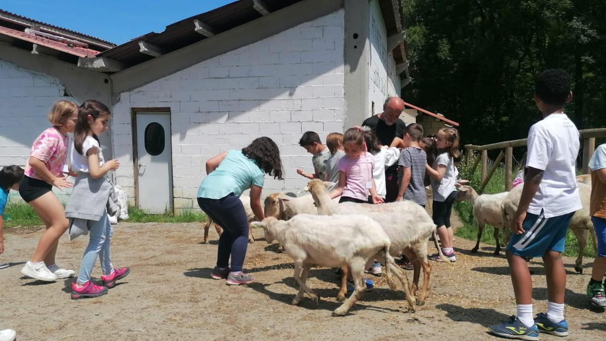 Las y los más pequeños podrán ejercer de pastores por un día