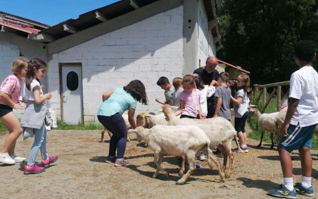 Las y los más pequeños podrán ejercer de pastores por un día