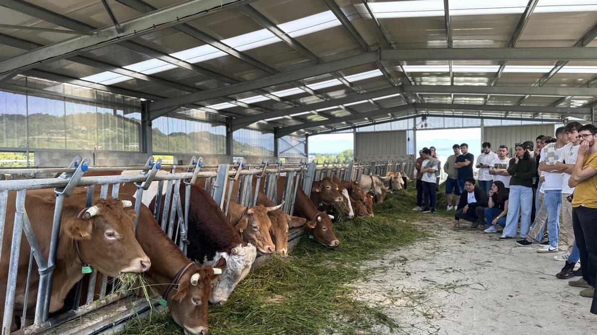 La comunidad de Gastro Gaztea, durante la visita a Mugarrieta baserria.