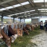 La comunidad de Gastro Gaztea, durante la visita a Mugarrieta baserria.