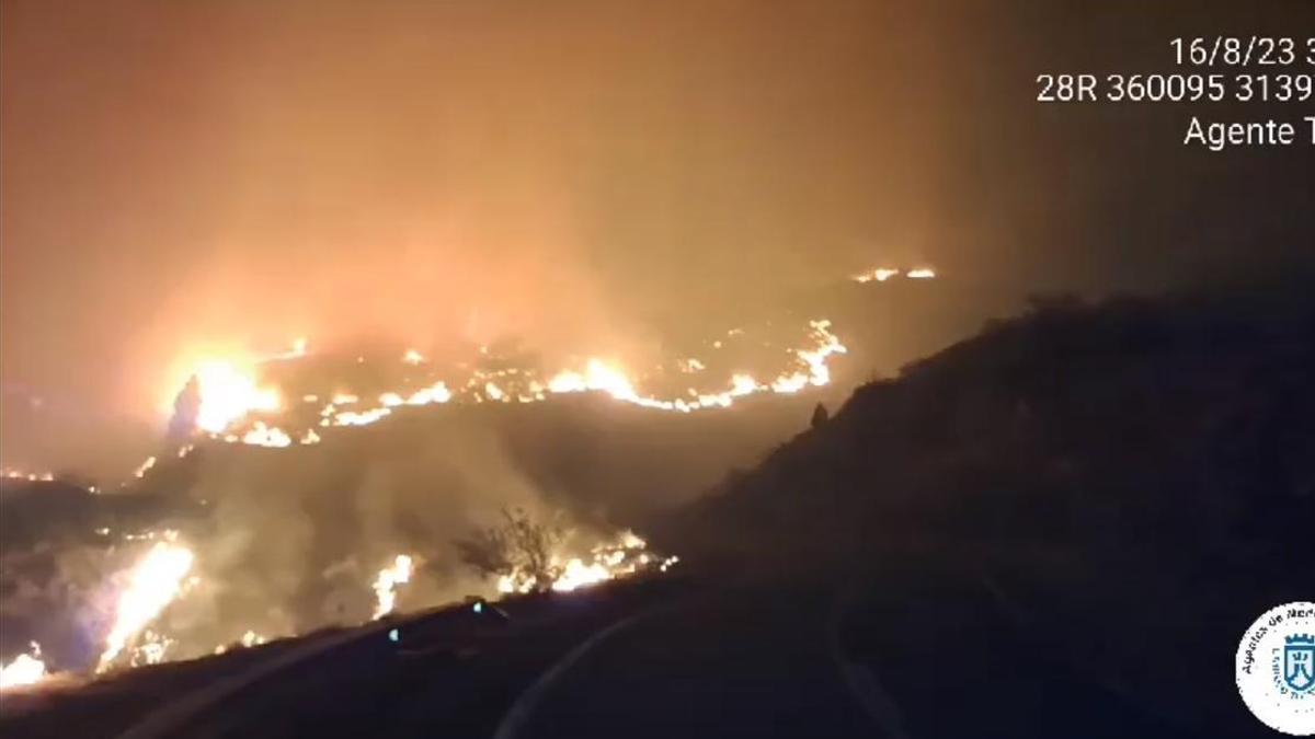 El incendio se ha declarado en los montes de Arafo.