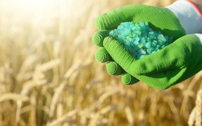 Un agricultor sostiene un puñado de fertilizante agrícola.