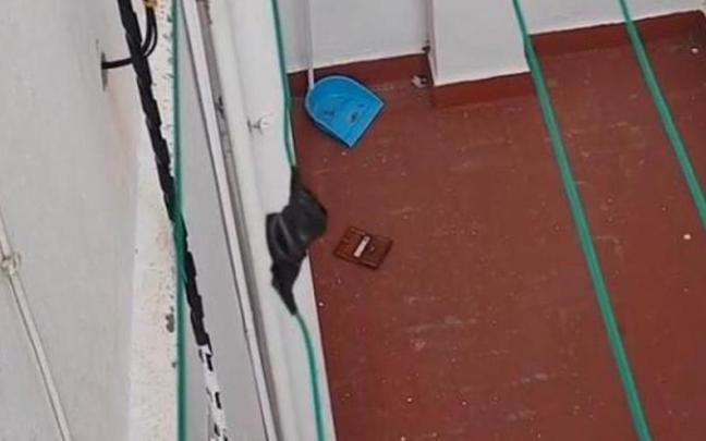 La cartera extraviada del vídeo publicado por @alvarotelocuenta en TikTok.