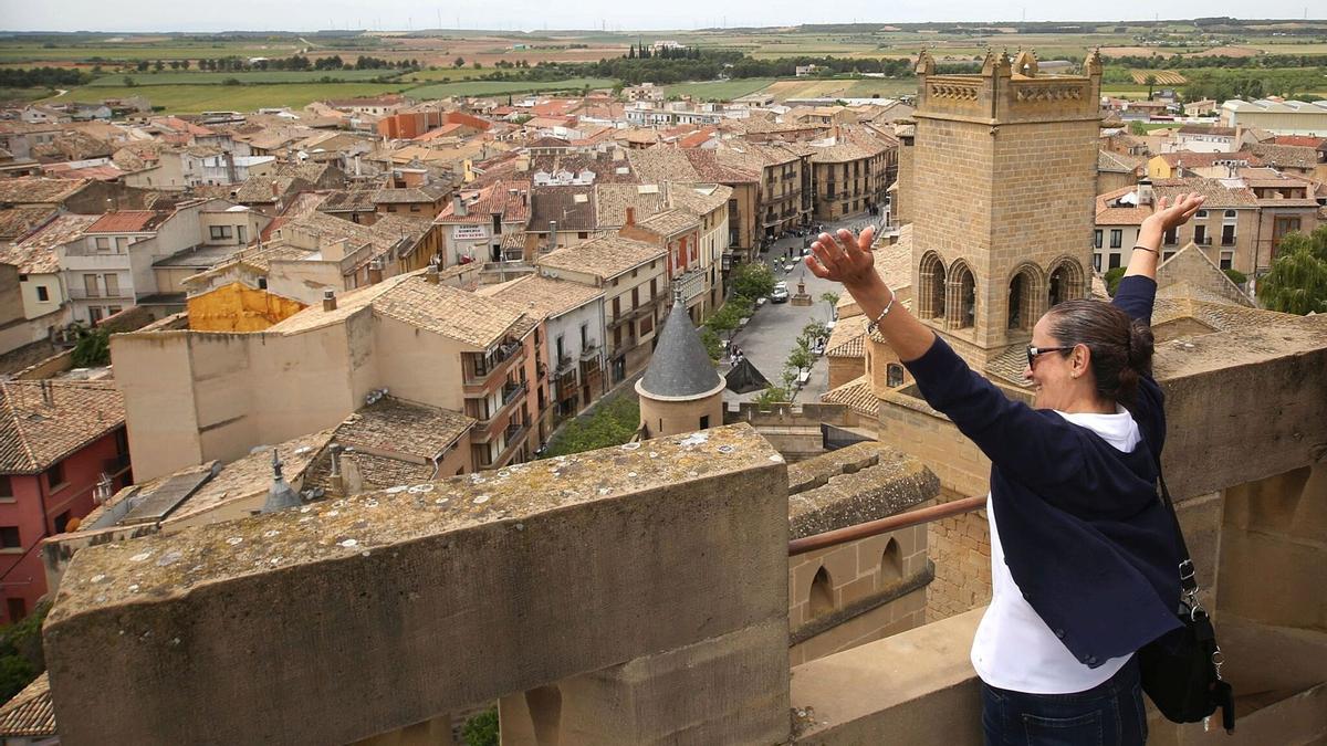 Vistas desde las murallas del Palacio Real de Olite.