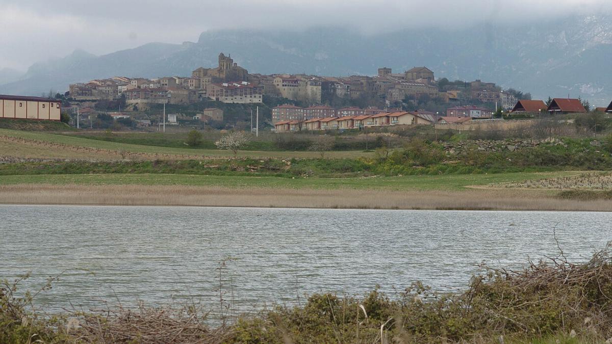La Laguna del Musco en Laguardia