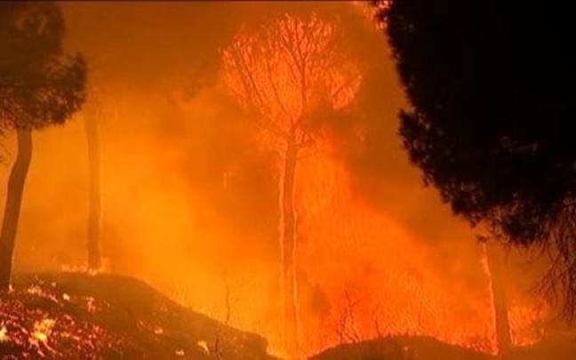 Incendio en Doñana, en Almonte (Huelva).