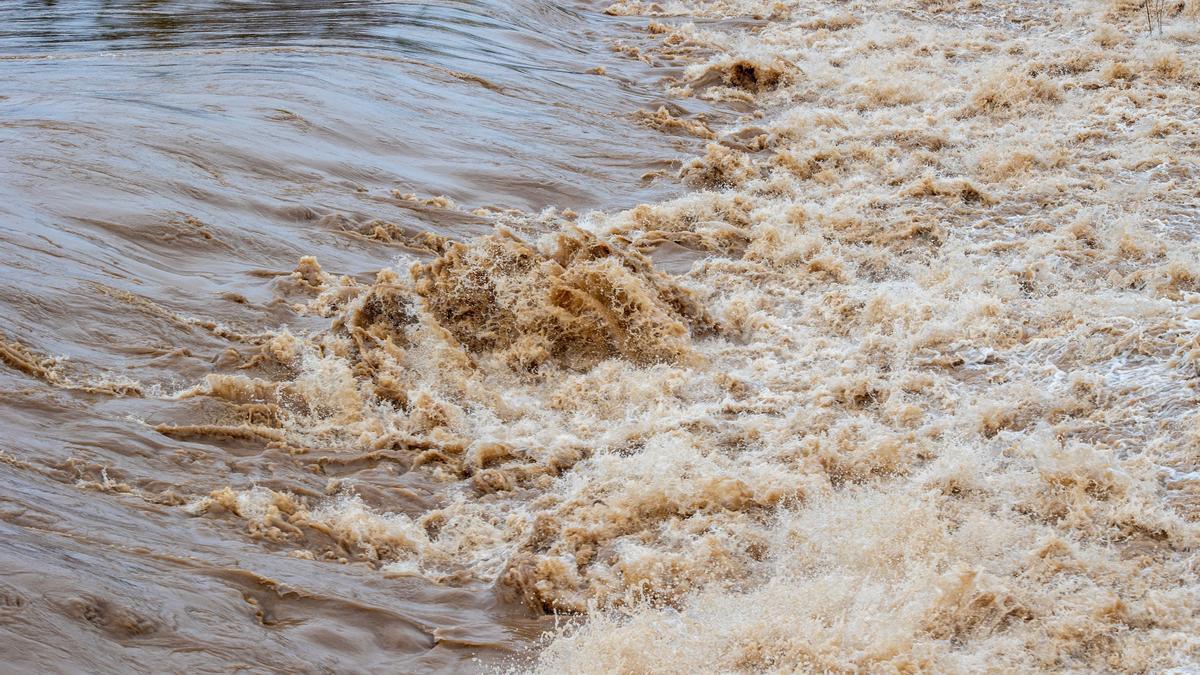 Imagen del río Ebro, este martes. RAQUEL MANZANARES