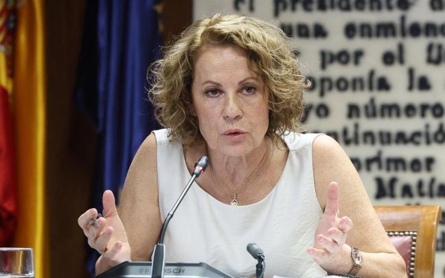 La exdirectora general de la AEAT comparece en la comisión del Senado sobre la gestión de la SEPI.