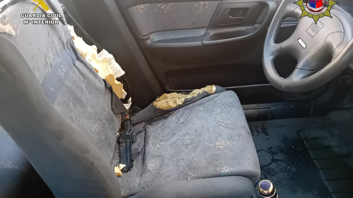 Coche en el que fue encerrado el animal.