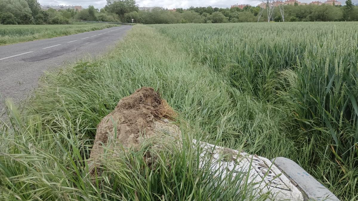 Arrancado y tumbado. Así ha aparecido uno de los históricos mojones de carretera de Vitoria. Al fondo, el barrio de Ibaiondo