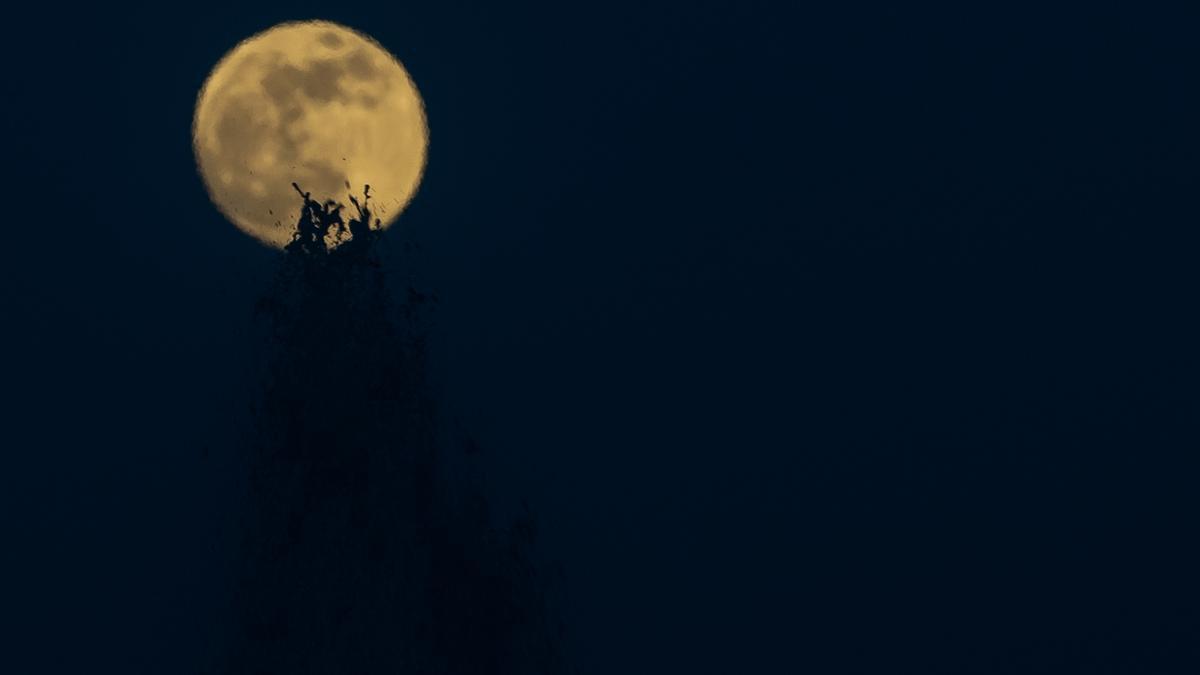 La luna llena de las flores en una imagen de archivo