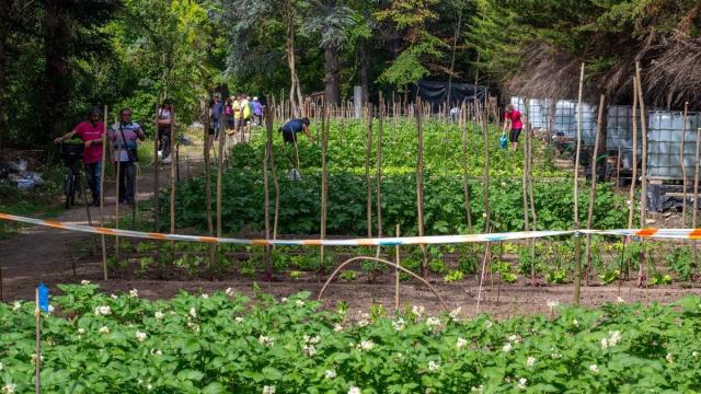 Imagen de huertos comunitarios, un proyecto que desde hace unos años se ha ido extendiendo por diferentes localidades.