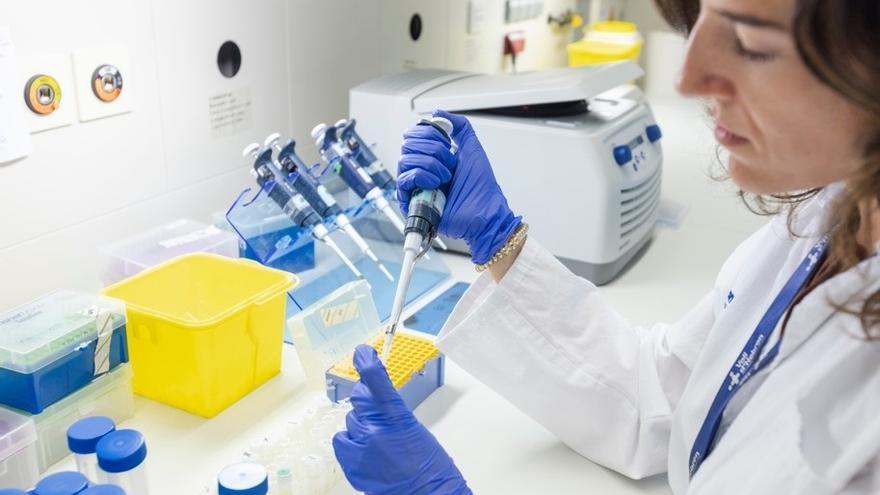 La investigación abre la puerta a terapias dirigidas a impedir la propagación del tumor