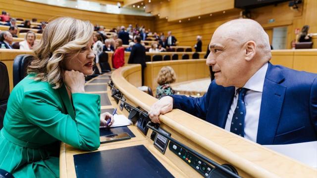 El PP ha llevado en varias ocasiones al Senado el rescate de Air Europa durante la pandemia.