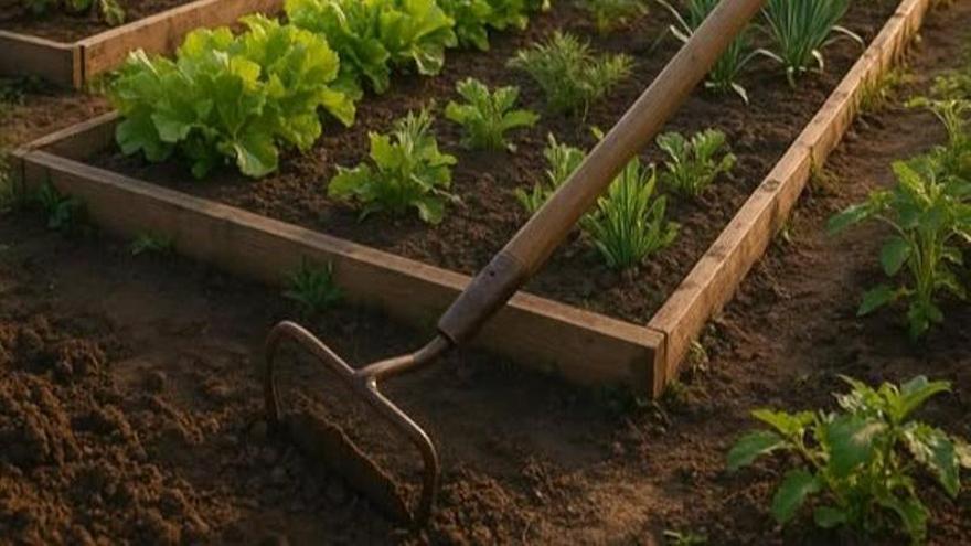 El proyecto de huertos urbanos de Basauri se hará realidad en el parque de Iruaretxeta