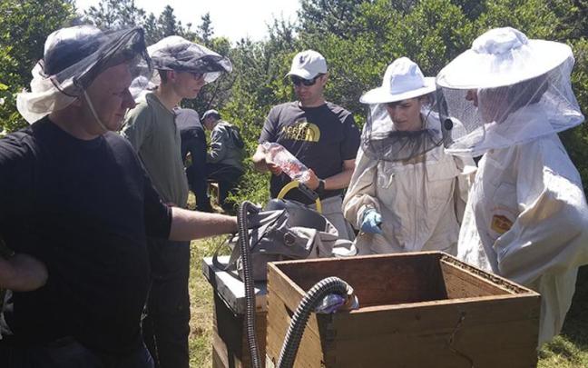 Applied Genomics and Bioinformatics taldeko Andone Estonba eta Iratxe Zarraonaindia Unije irlan, proiektuan ikertzeko erlauntzak prestatzen, Kroaziako lankideekin batera