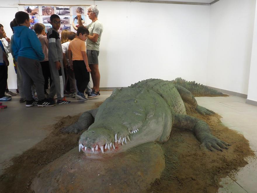 Las figuras de arena causan la sorpresa de niños y mayores por su realismo.