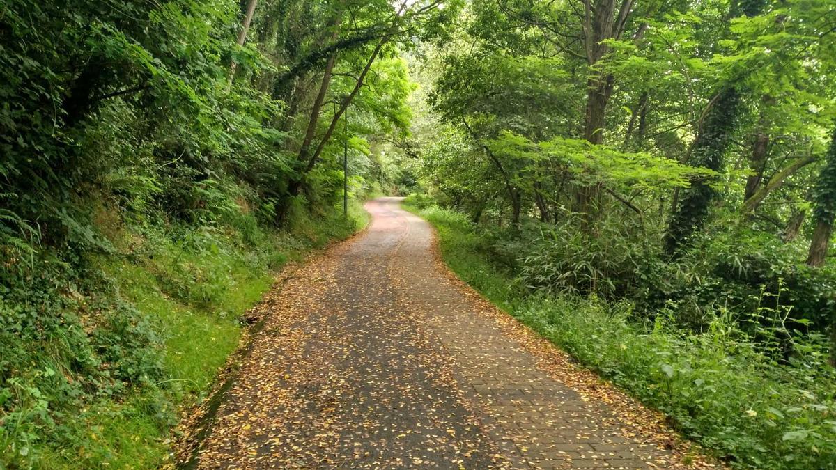 Pista ancha para transitar