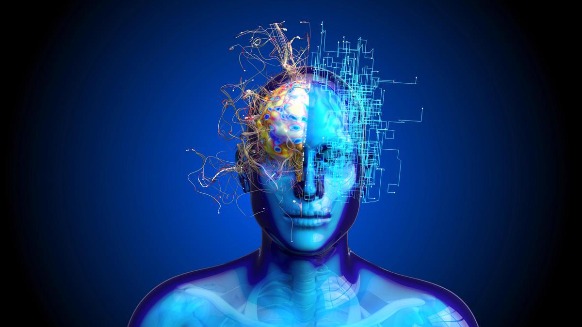 Recreación de los dos hemiesferios cerebrales.