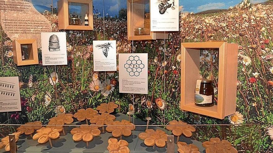 El museo está ubicado en Murgia.