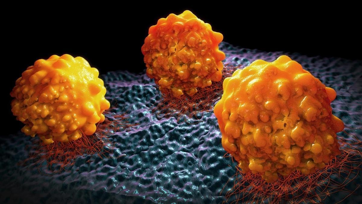 Células cancerosas.