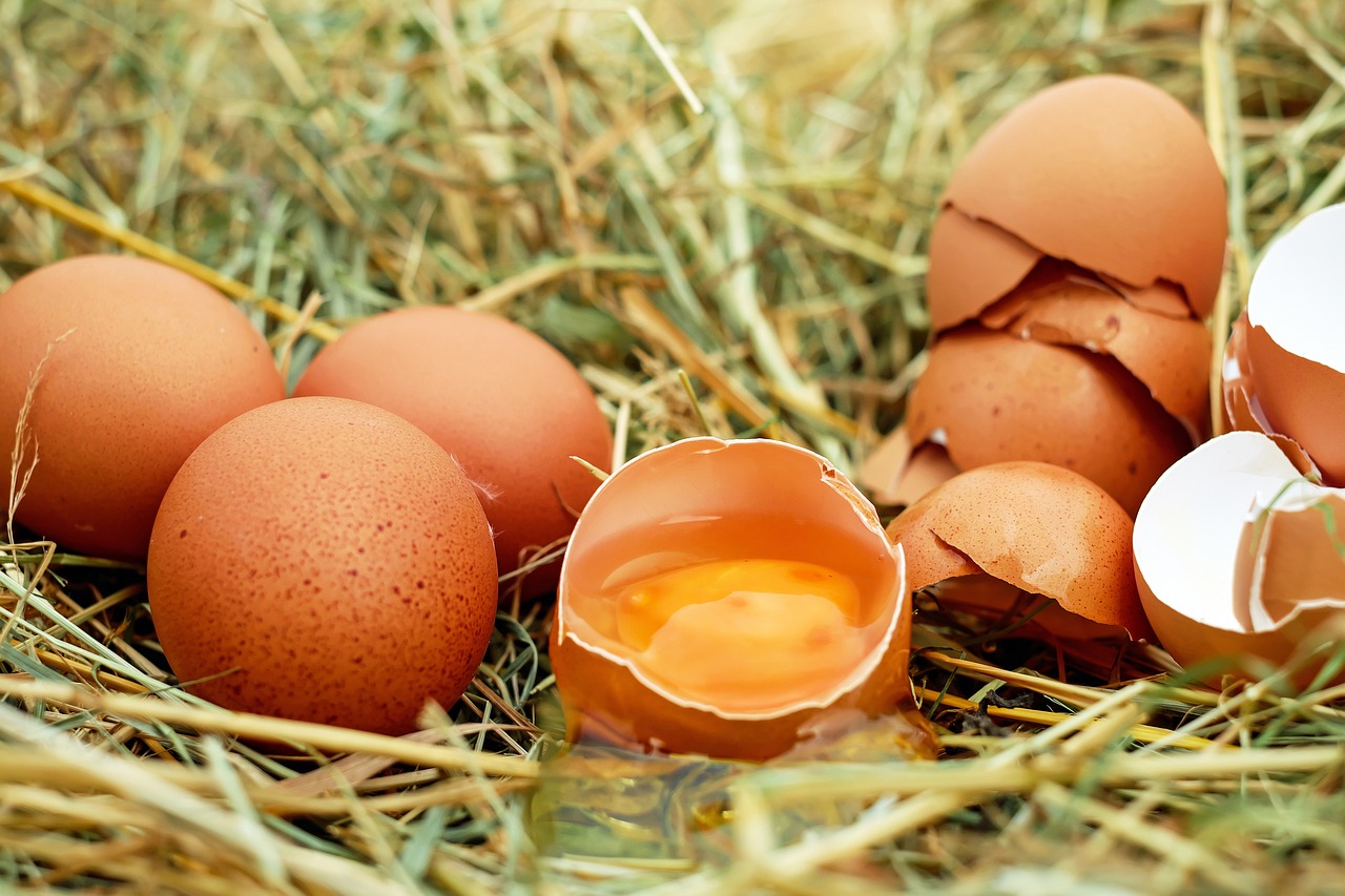 En la imagen, unos huevos sobre césped. Foto: Pixabay