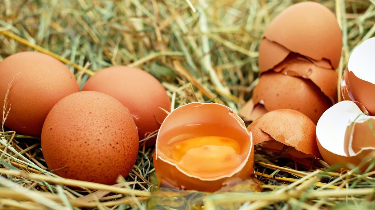 En la imagen, unos huevos sobre césped. Foto: Pixabay