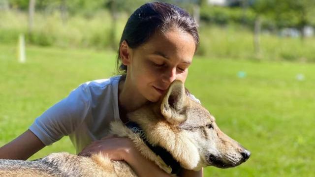 perro lobo checoslovaco