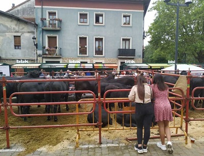 Este domingo se celebrará la tradicional feria ganadora, agrícola y artesanal 