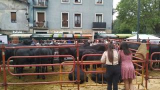 Este domingo se celebrará la tradicional feria ganadora, agrícola y artesanal 