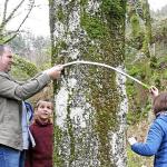 Un año más se medirá la encina de Zeanuri.| Jon Urutxurtu, Deia