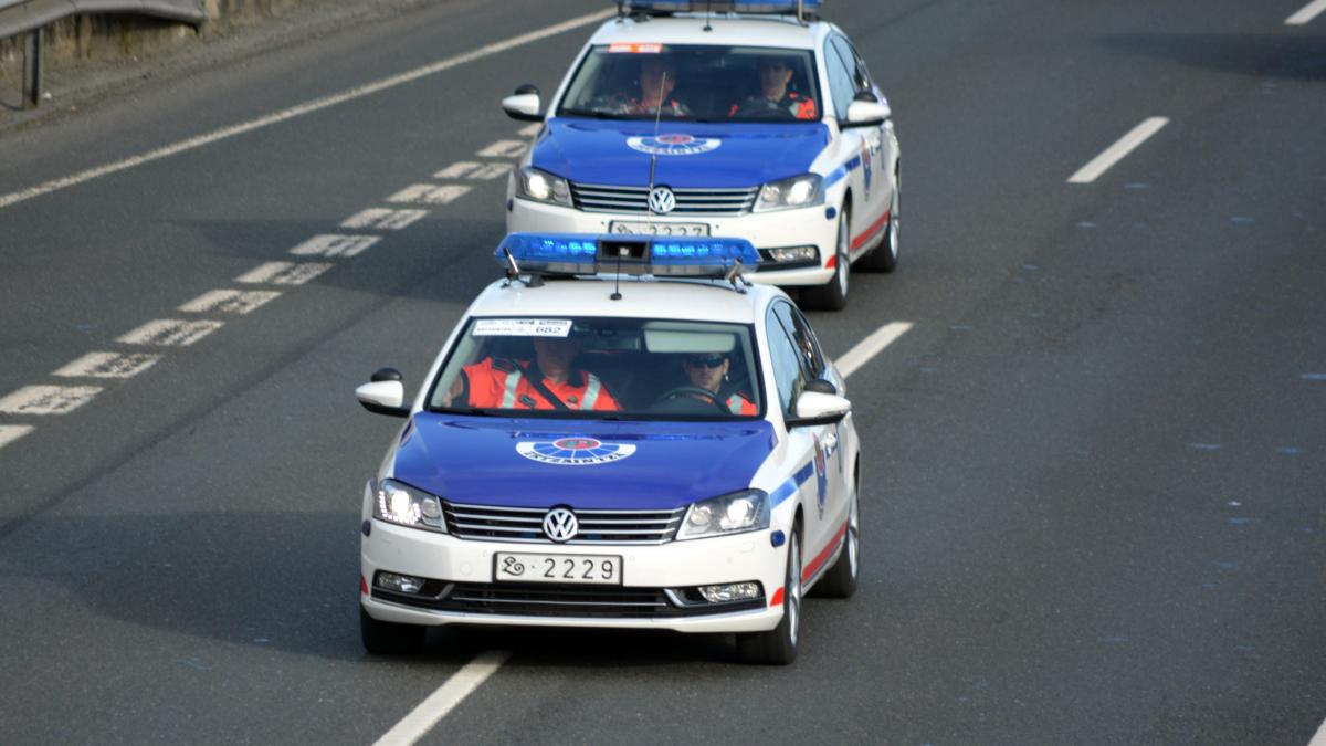 Coches de la Ertzaintza. DEPARTAMENTO DE SEGURIDAD