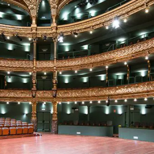 Escenario Teatro Campos Eliseos Bilbao