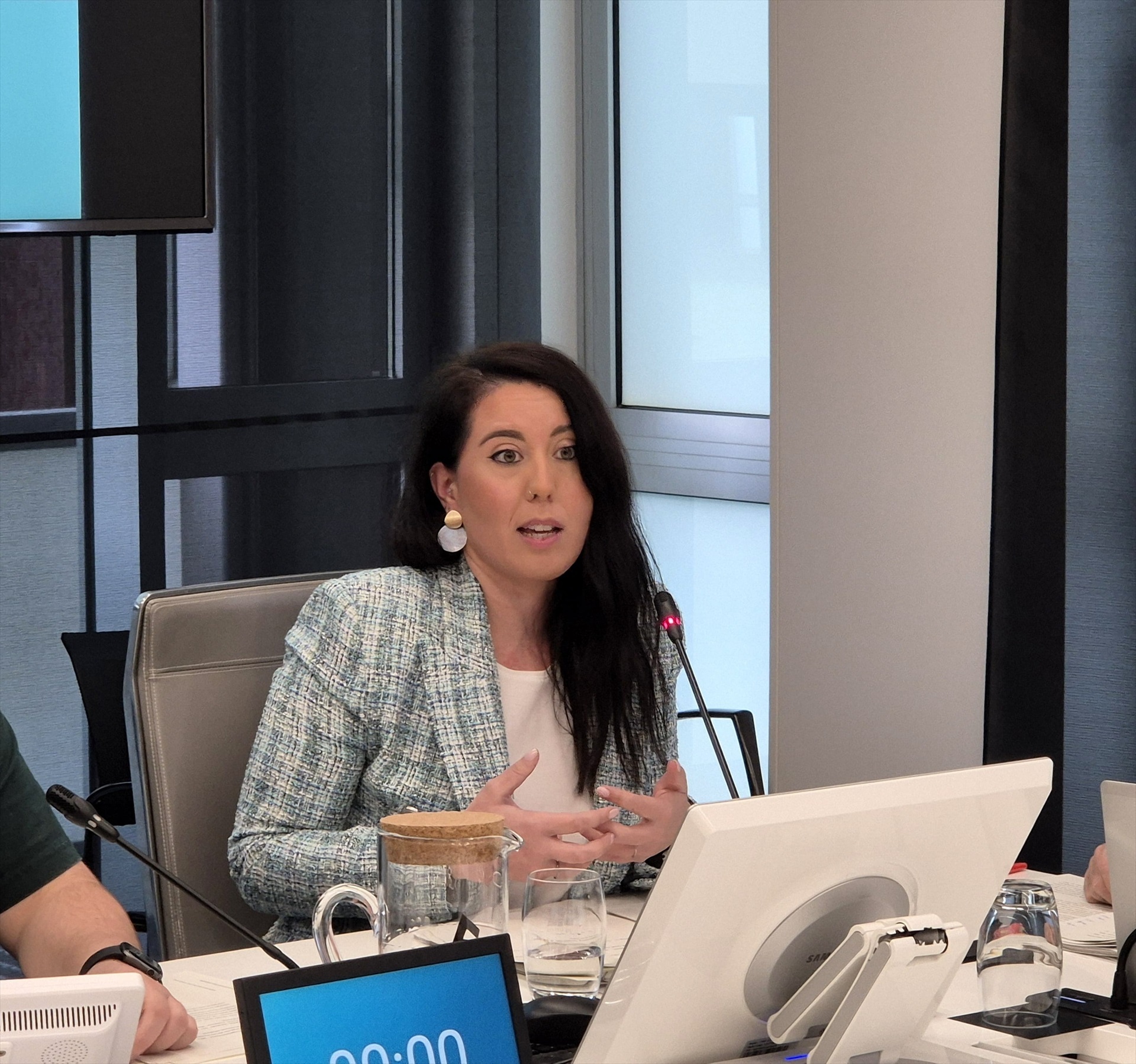 La diputada Azahara Domínguez, durante la comparecencia de esta mañana en JJGG